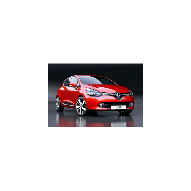 NNP rouge flamme clio