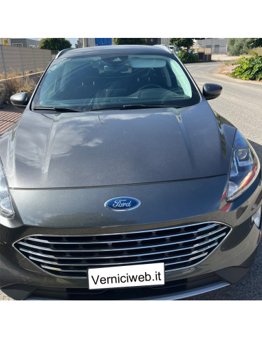 Ford magnetic grey