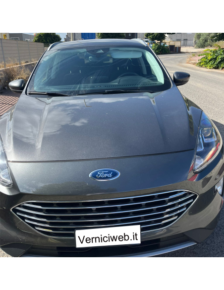 Ford magnetic grey