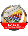Vernici spray RAL